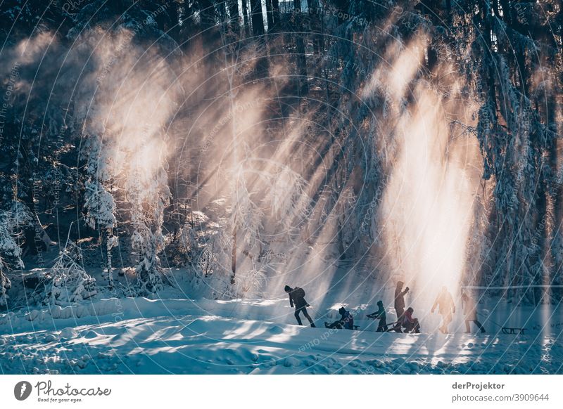 People with sledges in the Harz Mountains against the light Joerg farys National Park nature conservation Lower Saxony Winter Experiencing nature Nature reserve