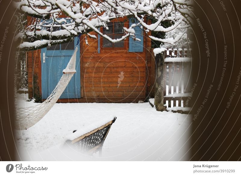 Garden in winter tepid Wooden house Snow White Winter silent Calm Nature Peaceful Cold Frost Ice Day Exterior shot Deserted Subdued colour Colour photo