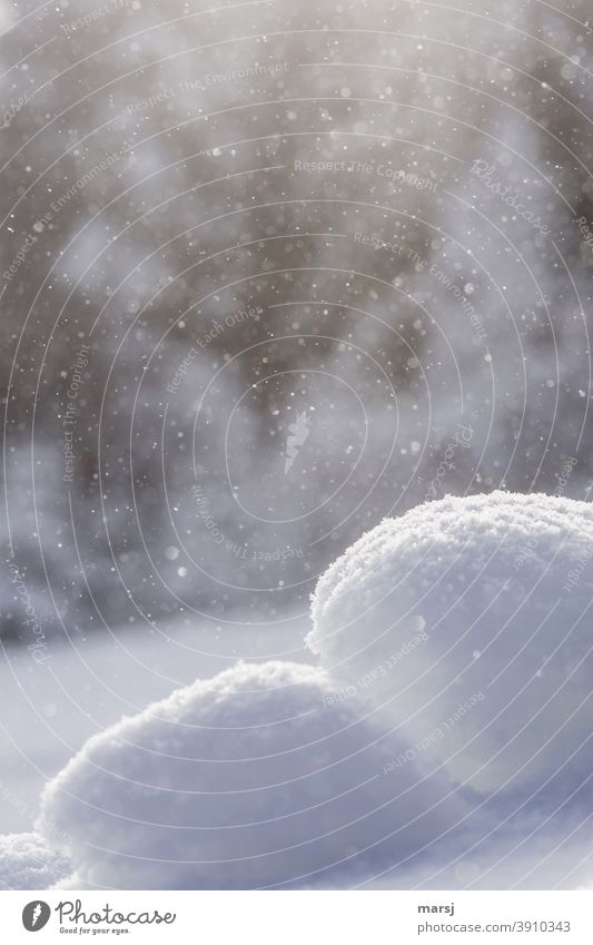 Small snow mounds in snowfall Winter Snow Subdued colour Morning Snowfall Nature naturally fluffy cuddly Smooth Frost Ice Cold Abstract cotton-wool soft