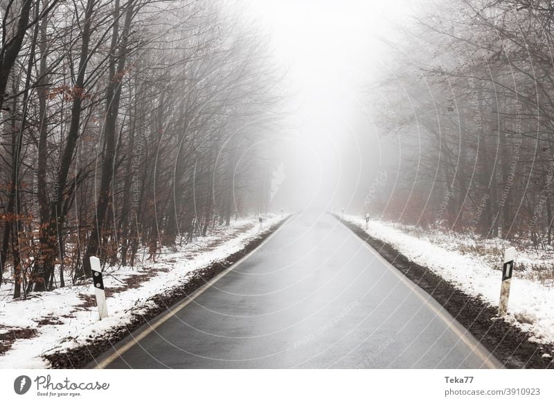 an empty foggy winter forest street foggy street foggy winter street water winter fog danger icy taffic empty street low visibility no visibility trees