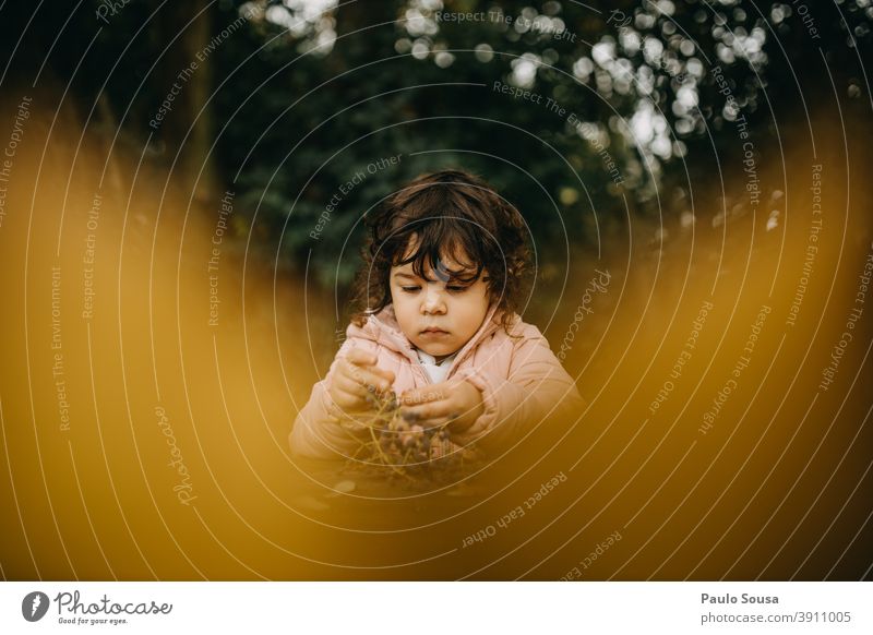 Cute girl playing with autumn leaves Yellow Child childhood 1 - 3 years Caucasian Autumn Authentic Autumnal Autumn leaves Autumnal colours fall Infancy