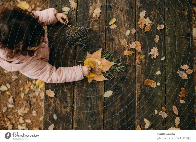 Child playing with autumn leaves Autumn Autumnal Autumn leaves Autumnal colours fall Winter Nature foliage Automn wood Day Colour photo Leaf Environment