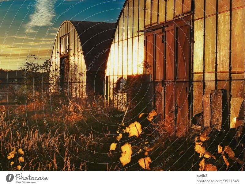 tin cans Warehouse Tin Architecture Deserted Exterior shot Manmade structures Storage Long shot Hall Concrete Metal Glass Old Colour photo Bushes Clouds