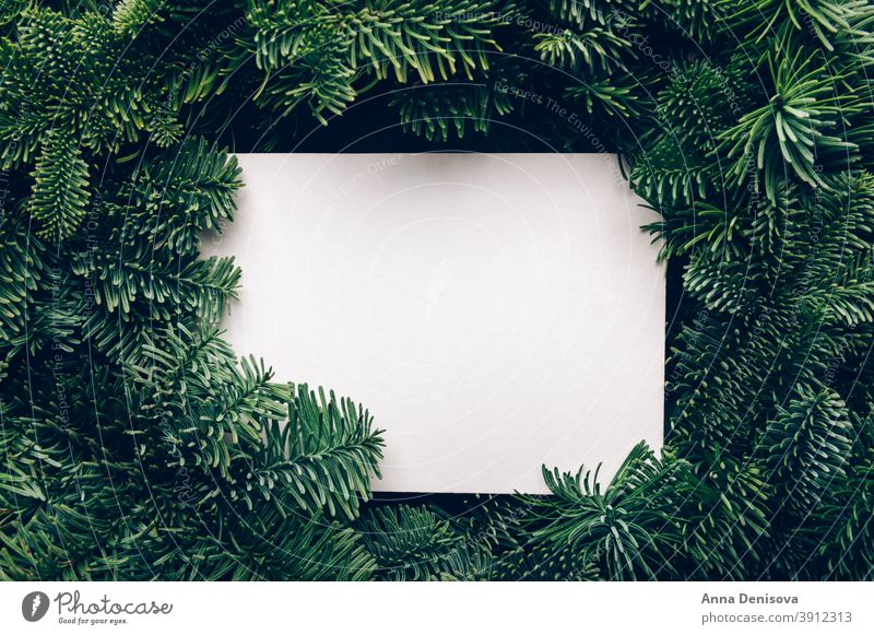 Frame from Xmas tree branches with mock up xmas christmas frame card creative background decoration holiday minimal winter green white trend festive empty above