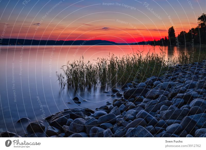 The sun bathes Lake Constance in a brilliant red Sunset reflection idyllically Deserted Red Mystic romantic sunset Water Sky Landscape Nature Sunrise Ocean Dusk