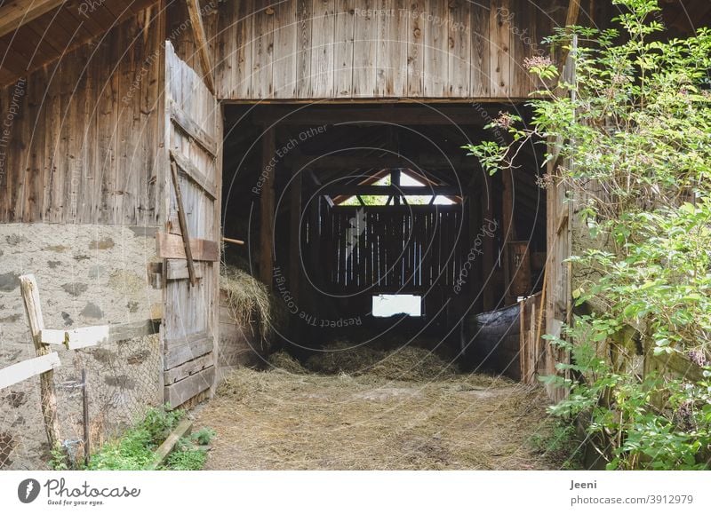 Haystack on the mountain pasture | Wooden hut for the animals as protection from the weather | Farm in the mountains Woodshed Alpine pasture Alps Hayrick