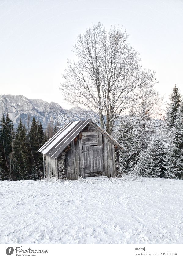 Lightly snowed wooden hut with tree. Snow in the foreground, mountains and forest in the background. morningfrost Cold Exceptional Old haystack Hut Frost Ice