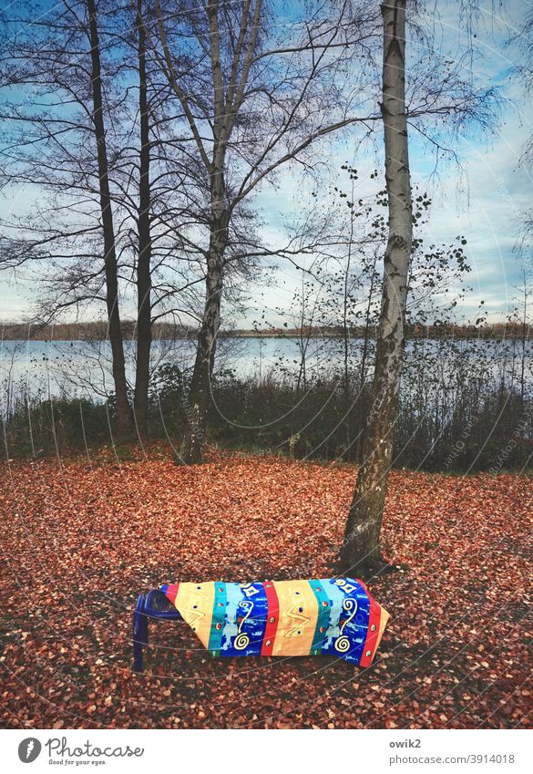 banking secrecy Bench Lake Forest Horizon Contentment Peaceful Relaxation Freedom Deserted Exterior shot Colour photo Day Panorama (View) Tree Seating Light