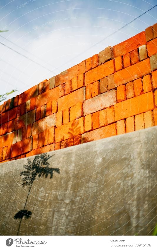 brick wall with shadow of plants masonry red background block brickwork pattern surface texture brown building concrete stone wide abstract antique rough