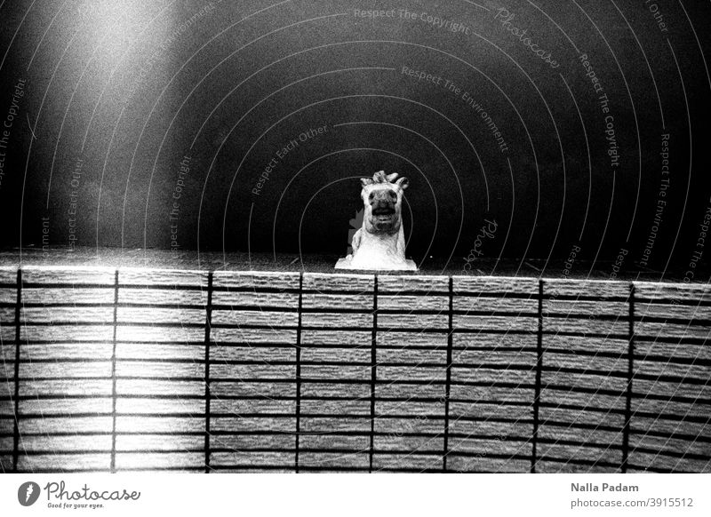 horse's head Analog Analogue photo Black & white photo Horse's head plastic Entrance stones Worm's-eye view Exterior shot Whimsical looking down look down