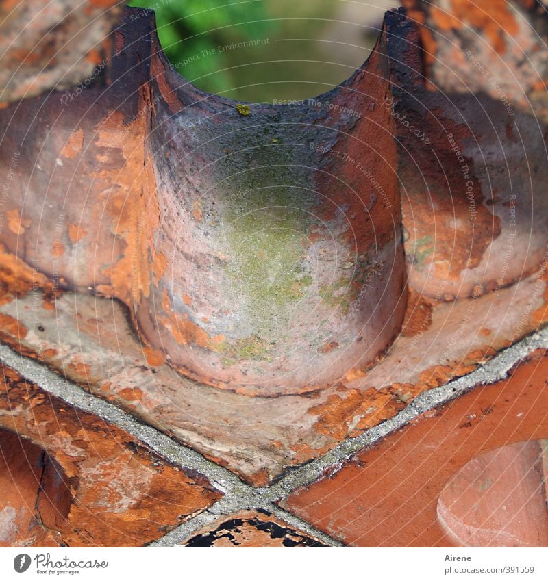 high up Nature Deserted Church Tower Wall (barrier) Wall (building) Roof Merlon Line Hollow Vista indentation Round Brick Green Red Brick red Headstrong