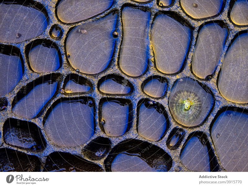 Texture patterns and colors on a cliff of a beach nature stone rock detail grunge space outdoors boulder stability hard rough textured natural meditate mineral