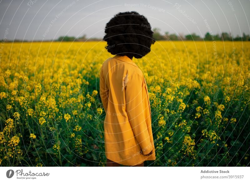 Black woman standing in blooming yellow field flower colorful vibrant pensive bright blossom young female african american black ethnic afro curly hair