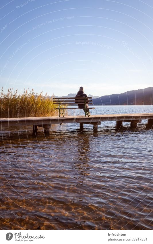 A person sits on a park bench by the jetty Lake Water Wait Footbridge Calm Loneliness Relaxation Lakeside Sky Nature Landscape Autumn Austria Idyll