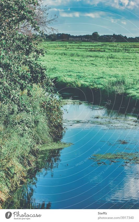 Late summer in Lower Saxony late summer Indian summer September late summerly summer landscape Peaceful Brook Banks of a brook tranquillity cloud reflection