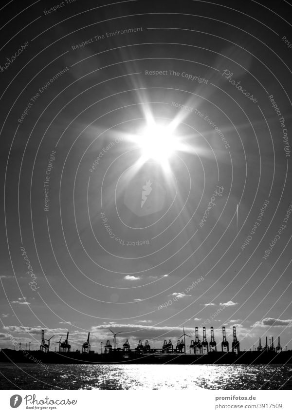 Sunshine over the port of Hamburg. Photo: Alexander Hauk sunshine Exterior shot Black & white photo Sky Sunlight Economy TTIP free trade agreements Company