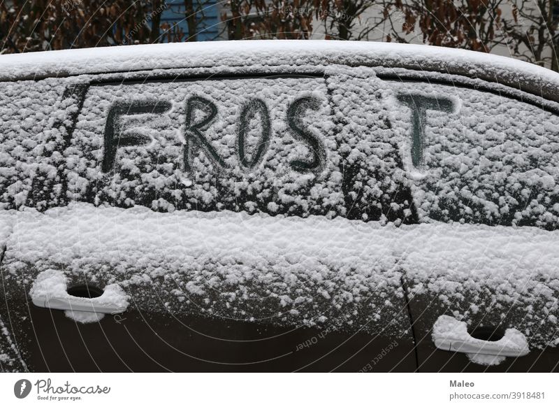 Frost winter season Text Abstract background pretty Blue Bright car Close-up Cold Crystal Design flowers German Glass Ice Inscription January naturally Pattern