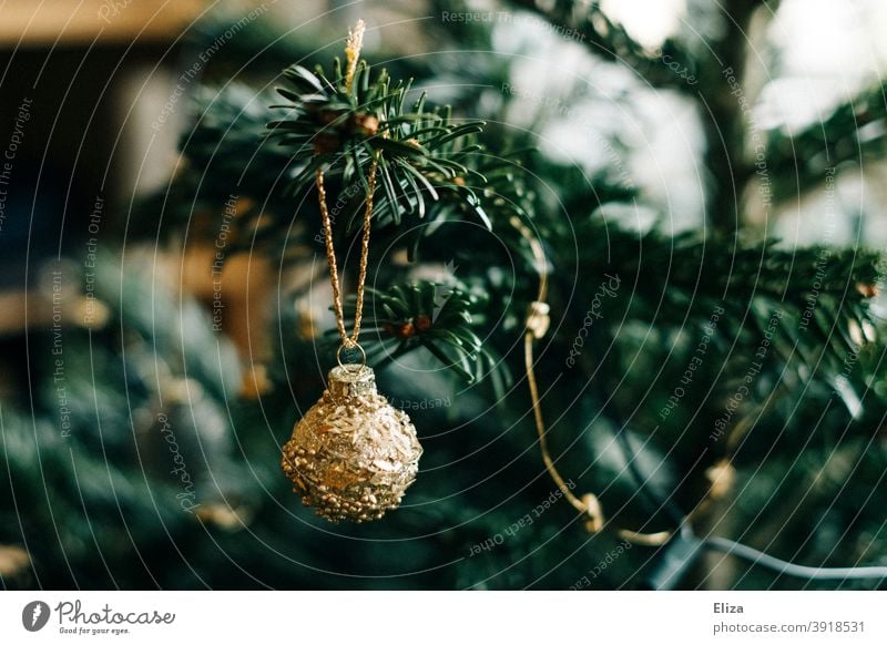 Silver glittering christmas tree ball hangs on christmas tree Glitter Ball Christmas tree Christmas decoration fir tree Christmassy Decoration