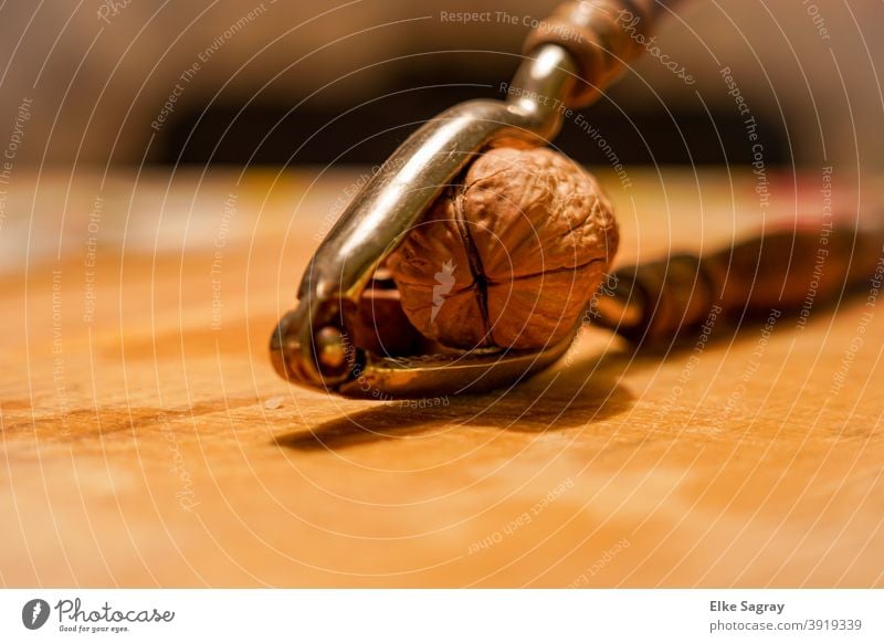 Who Cracks The Nut.... Walnut Food Shallow depth of field Nutrition Deserted Delicious Interior shot Christmas & Advent Organic produce Copy Space top