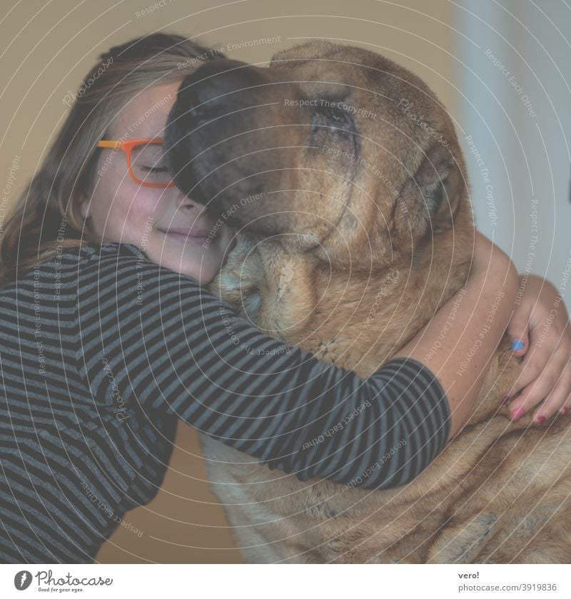 Girl with dog Colour photo Serene Calm dreams contented Interior shot Pelt Head Pet Dog's head Snout Dream Innocent Love of animals Relaxation Animal face