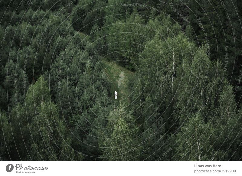 Here you can see all green panorama and a lonely old man dressed in white. He must be enjoying loneliness in these woods. All trees are still green though there is a feeling that autumn is coming.