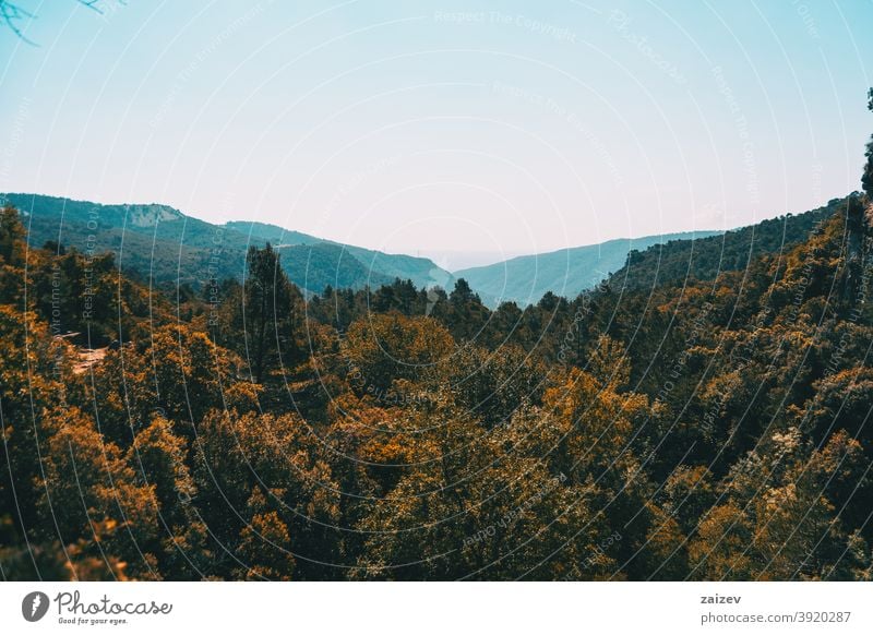 Landscape of the Prades mountains, in Tarragona, Spain. prades catalonia spain without people outdoor medium copy space portrait vertical color top bottom sky