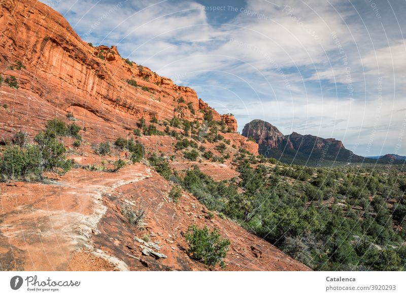 Wide landscape with red rocks, thorny bushes, hills on the horizon Nature Landscape Rock stone mountains Hill Plant daylight Day Sky Clouds tranquillity aridity