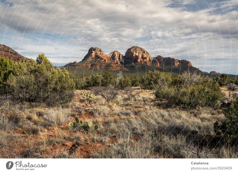 Red rock formation in the steppe Landscape Nature Steppe Semi-desert vegetation Grass cacti bushes Sand Sky Clouds Drought Environment daylight Day