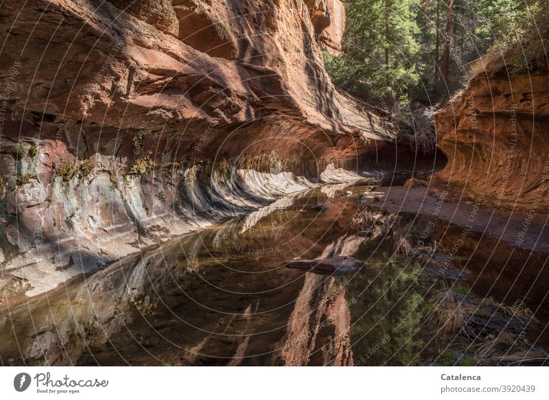 The stream has carved its way through the red rocks for millennia Nature Landscape Water Body of water Calm Brook Flow Canyon clammy tranquillity Mirror