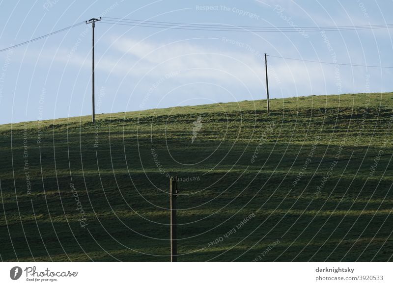 Nature shot of a pasture with a simple wire to transport electricity and blue sky Sustainability plants reforest Earth Boy (child) old Mixture