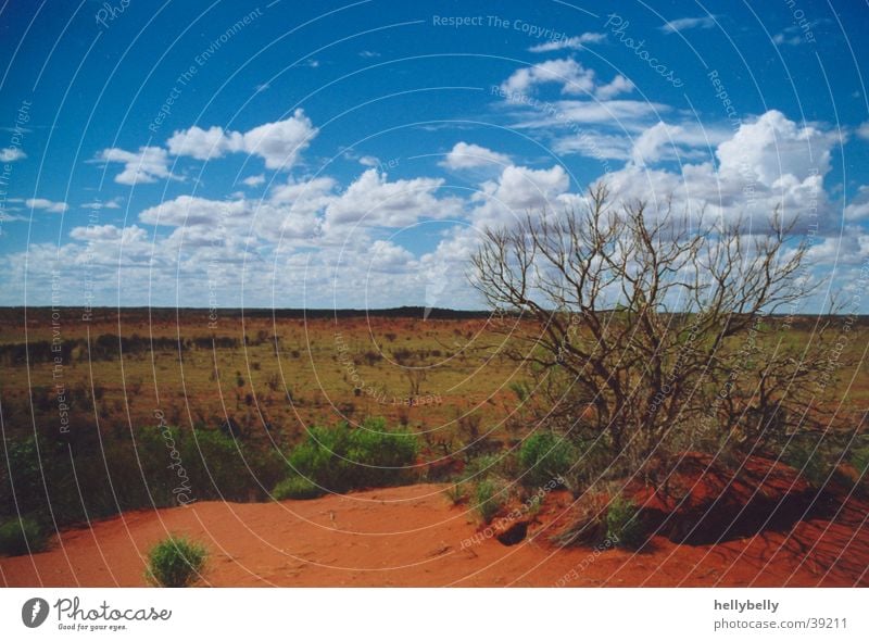 outback Outback Australia Desert Thin red sand Far-off places