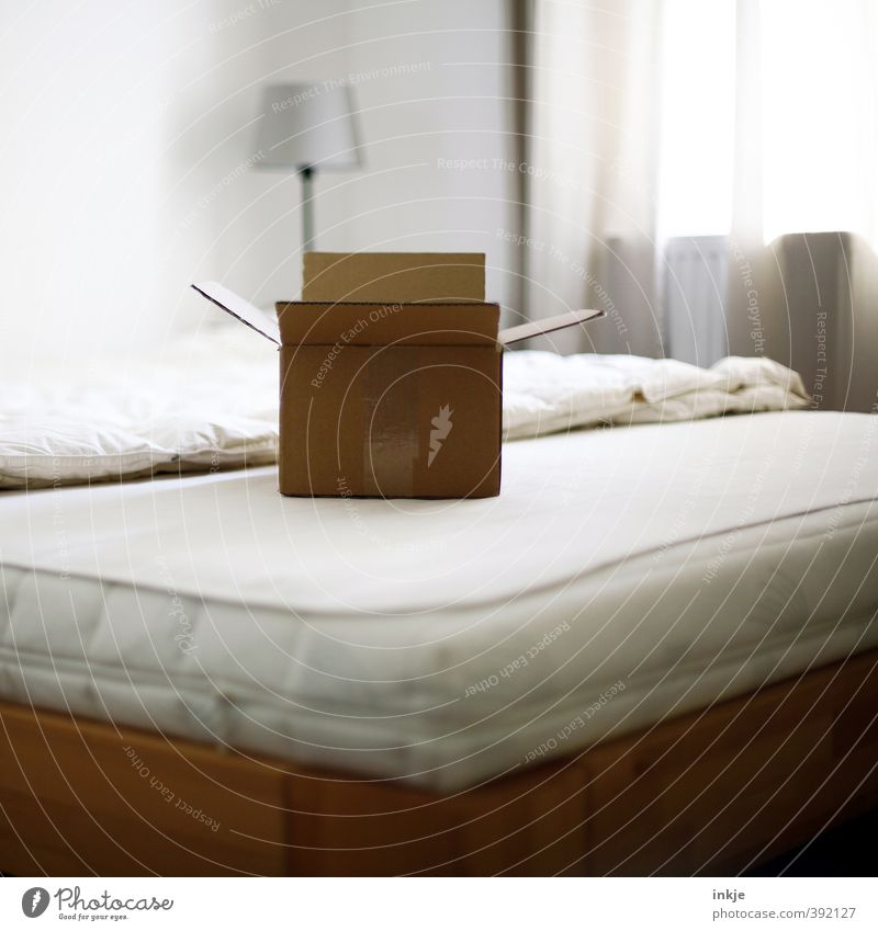 curious Lifestyle Living or residing Moving (to change residence) Arrange Lamp Bed Room Bedroom Drape Deserted Packaging Package Cardboard Cardboard box