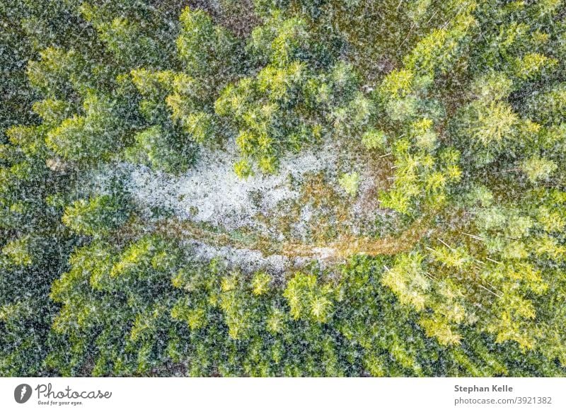 Heavy snowfall over a forest with green trees and a road, aerial top shot in winter. drone nature pine landscape outdoor ice cold season white scenic natural