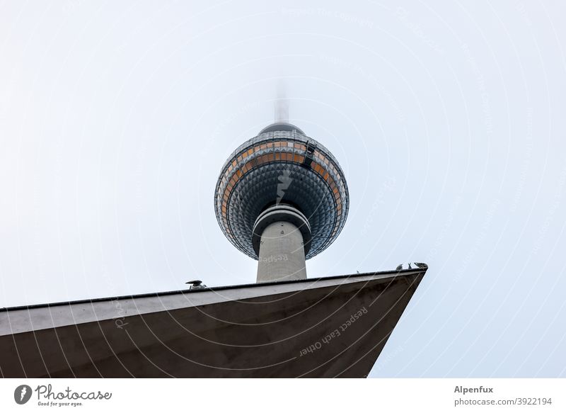 popular corner of Berlin Television tower Berlin TV Tower Architecture Alexanderplatz Downtown Berlin Sky Exterior shot Manmade structures Tourist Attraction