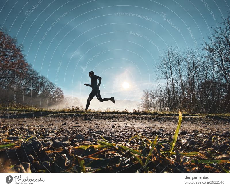 X-Files: The Jogger in the Mist Part 2. The Escape. Silhouette Fog Above the clouds Clouds Amazing Mystic File x trees Lanes & trails Grass Cold cold season Sky