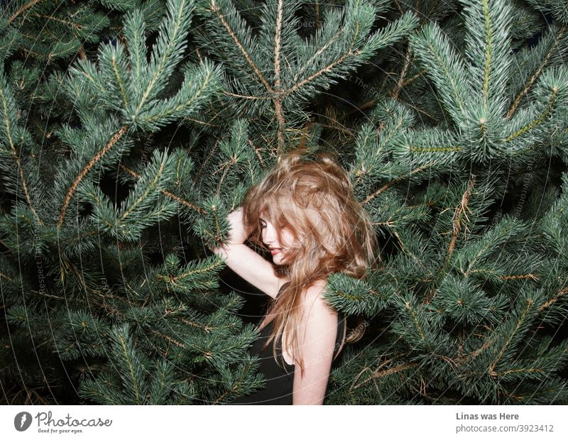 This girl doesn’t bother if the spikes of pine are all around. She is having fun no matter what, even if it’s a bad hair day. brunette girl happy smile bushes