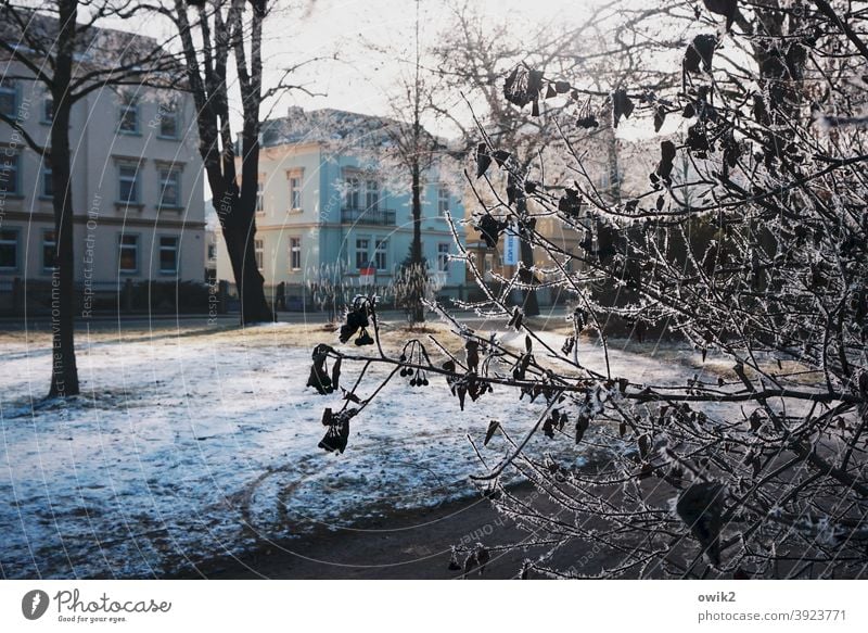 Blue weather Winter Snow Environment Nature Landscape Park Beautiful weather Sky White Cold Exterior shot Deserted Day Contrast Lanes & trails Tree Shadow Light