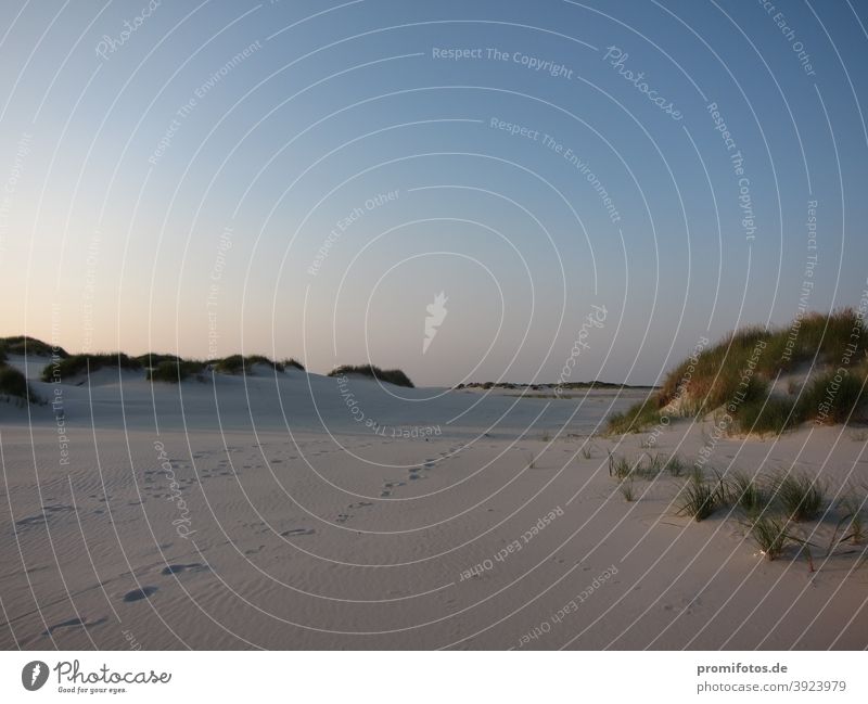 Sandy beach on Amrum, Germany. Photo: Alexander Hauk Summer Sun sunshine press trip Press trip Island Trip Tourism sights coast North Sea Landscape