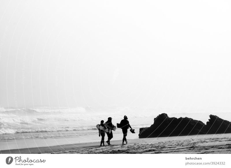 cool dudes Water Wanderlust Longing Free Dream brenton on sea Tourism Vacation & Travel Trip Adventure Far-off places Freedom Man Nature Landscape Sky Clouds