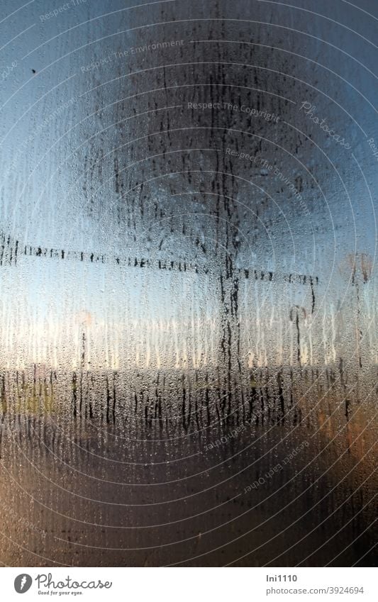 Condensation on glass pane in the background of the outdoor terrace a tree is visible Pane Outdoor terrace Sunlight Blue sky solar irradiation Warmth