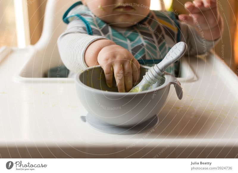 6 month old baby in high chair reaching for a bowl of baby food and spoon infant child 6 months old avocado puree homemade weaning baby led weaning first food