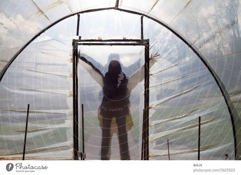 Consumer terror l The guardian, of helgi's strawberry field or buy local vegetables. Halloween. Woman Ghosts & Spectres Greenhouse Market garden Eerie ghostly