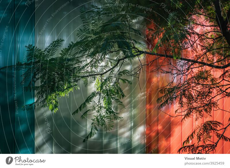 Green branches over a modern colored glazed facade architecture building exterior structure urban metropolitan abstract frontage design white blue leaves