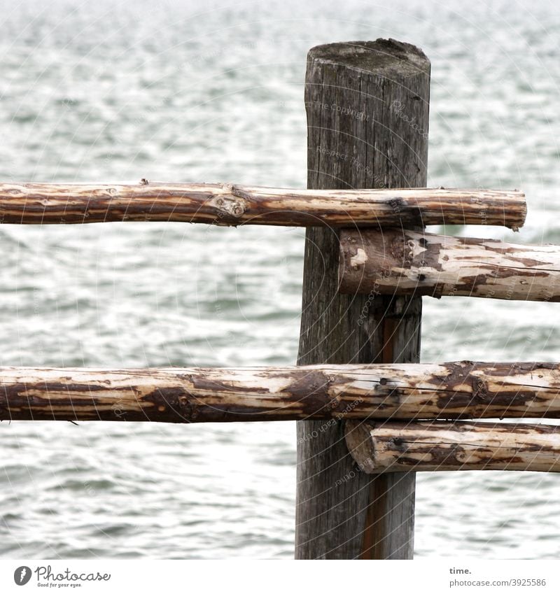 Stories from the fence (84) Water Ocean Baltic Sea Fence Wood slats Fastening fixed rods lock Border Protection Safety Raw Branch planed peeled Pole Parallel