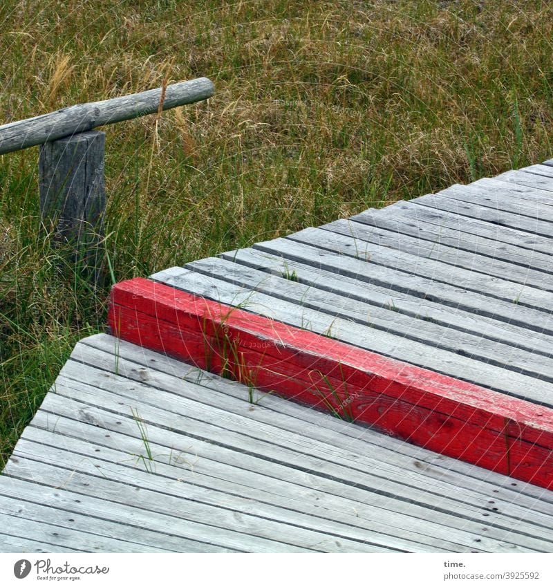 Boards for the world | on the wooden path Wood off Woodway Boundary nature conservation reserve ecology mark rail Meadow breeding area wooden plank Border slats