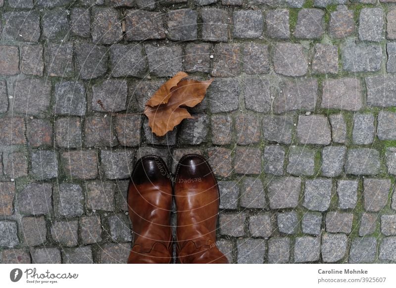 Woman stands in brown boots on cobblestones in front of a stunted leaf in winter Leaf Winter Cobblestones Boots Brown Colour photo Exterior shot Day Deserted