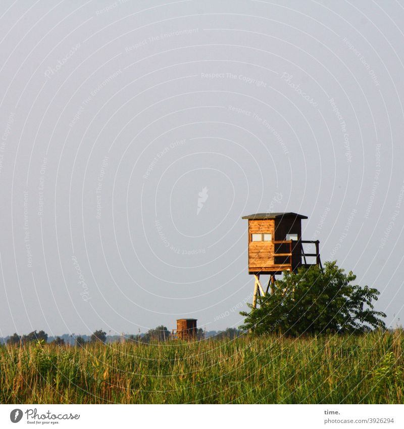 Spannertreff Hunting Blind sunny Nature observatory Sky Meadow hunting stilt house Watch tower Wood Window Stairs bush Solid Manmade structures Architecture