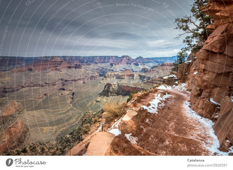 The way down into the Grand Canyon depth Far-off places wide Horizon Rock stones Plants Landscape Nature trails Hiking trails paths and paths Jawbone Clouds