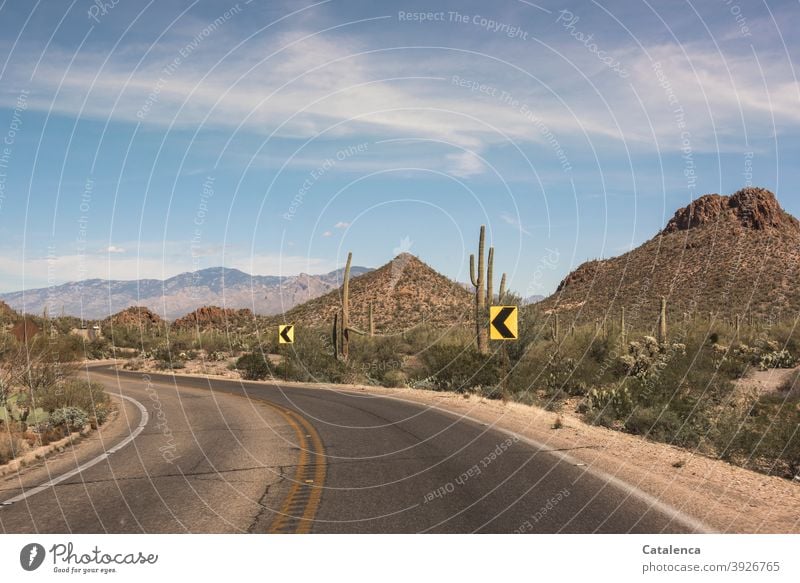 A winding road leads through the hilly desert landscape, cacti and thorn bushes line the roadside. Street Desert Hill plants Cactus Traffic signs curvaceous