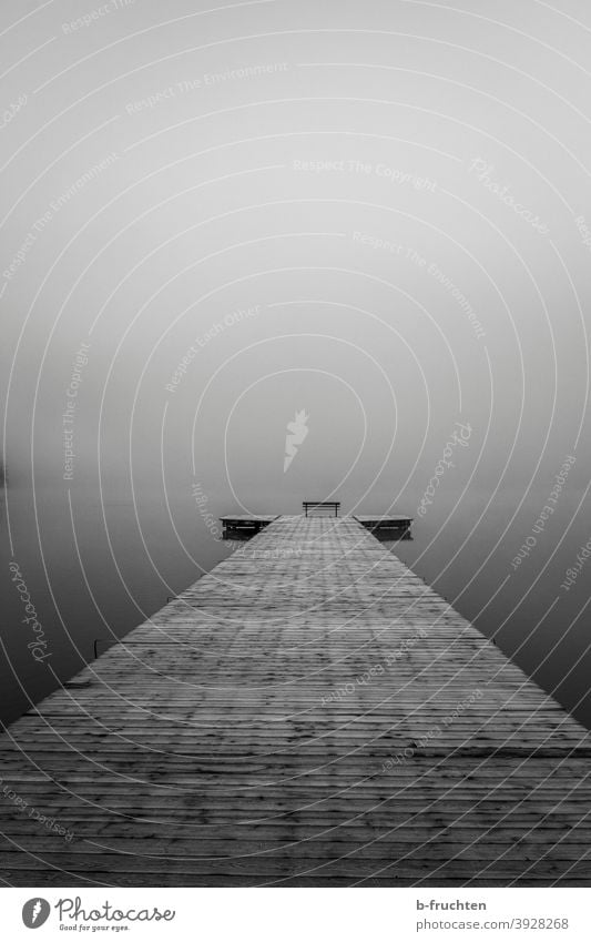 Foggy day at the lake, wooden footbridge with park bench at the end Lake Water Footbridge Autumn Long Middle Park bench Empty Cold Black & white photo Calm